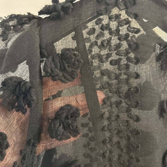 Anthropologie black, sheer, party dress. Size 18W - Picture 6 of 8